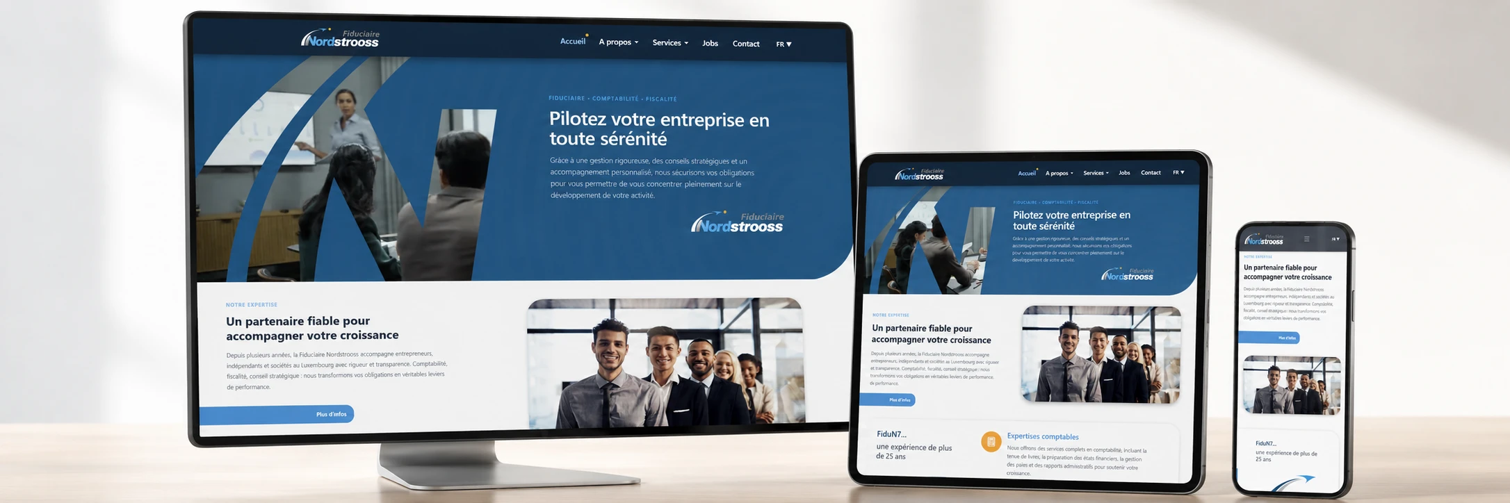 exemple site responsive ineako